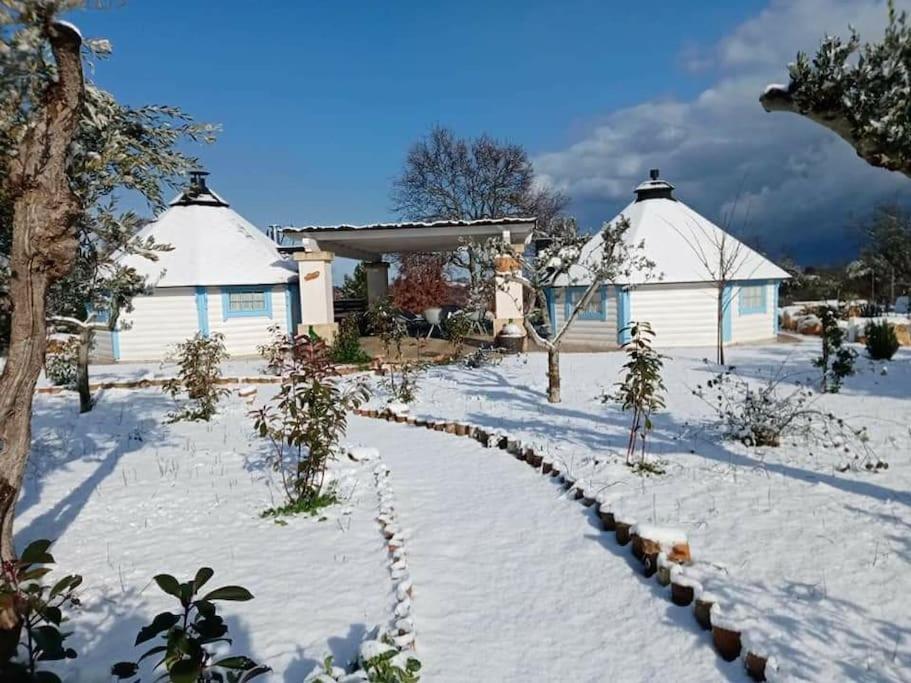 Trullo Iris Hotel Чистернино Екстериор снимка